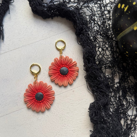 Orange Daisies