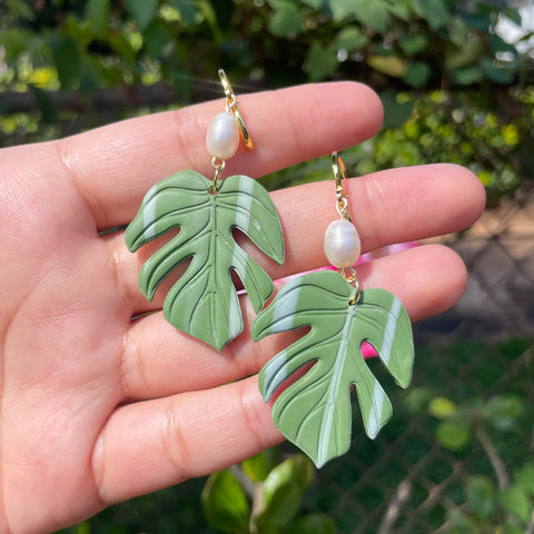 Large Variegated Monstera