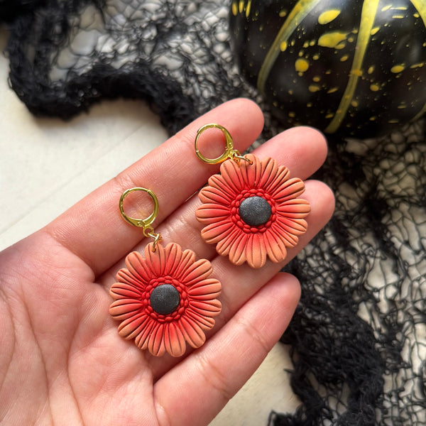 Orange Daisies